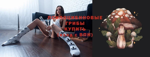 СК Ладушкин